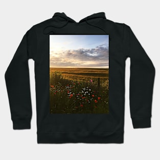 Countryside Sunset in Aberdeenshire, Scotland Hoodie